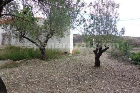 Property Image 16