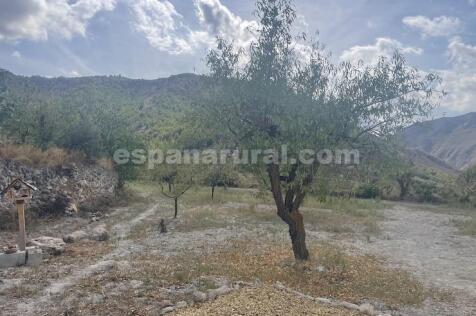 Property Image 16