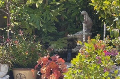 Water Feature