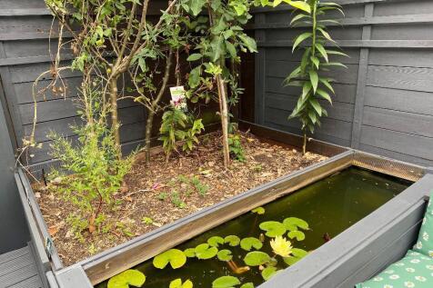 Pond