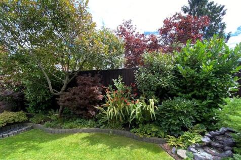 Rear Garden and Water Feature