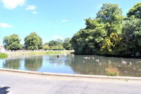 Pond View