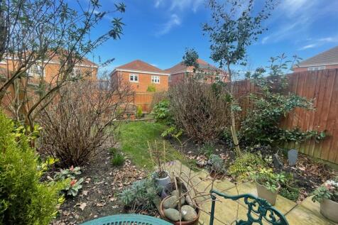 Property Image 17