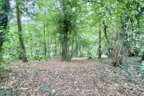 Woodland
