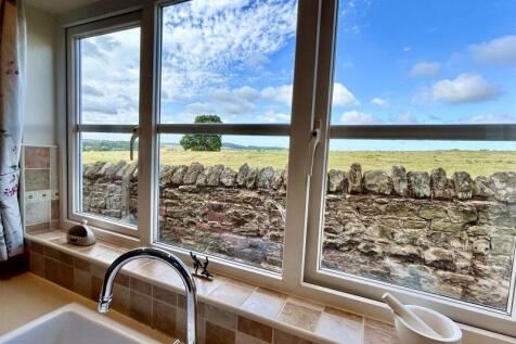 View from Kitchen Window