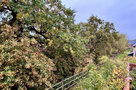 View from Master Bedroom