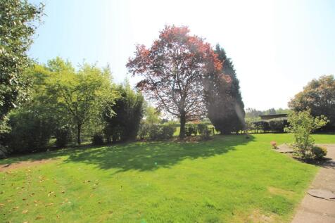 Back Garden