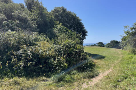 IMG_1619.jpeg