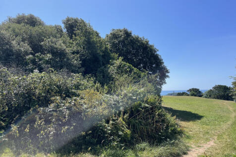 IMG_1622.jpeg