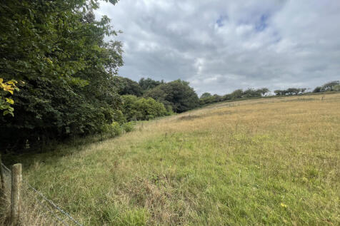 IMG_1854.jpeg