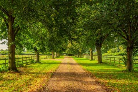 Tree Lined Approach
