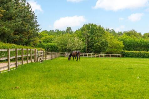 Paddock