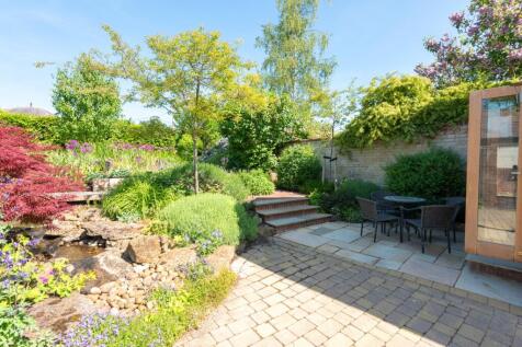 Rear Patio
