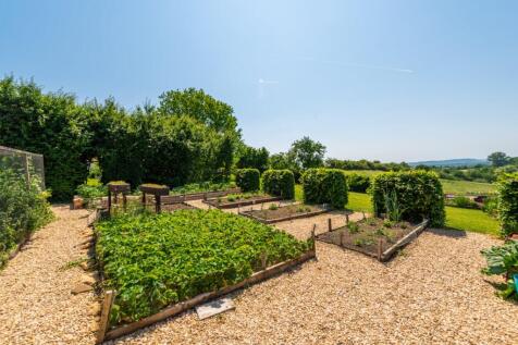 Vegetable Garden