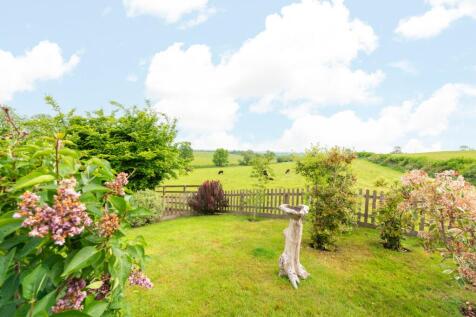 Garden and Views