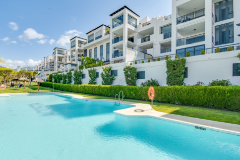 Pool and gardens