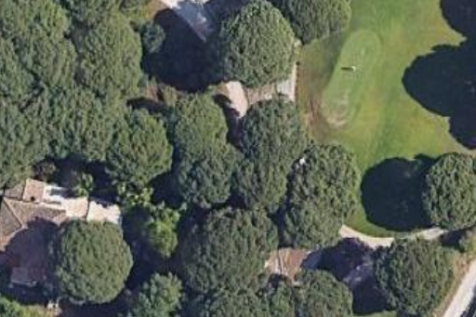 The location