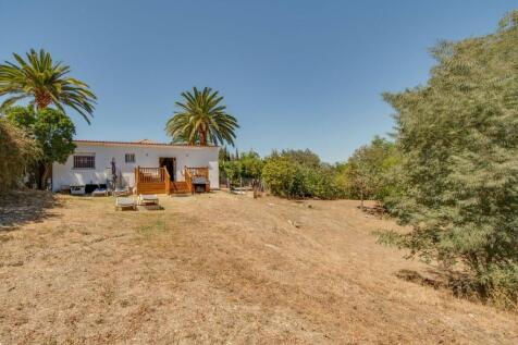 BACK GARDEN