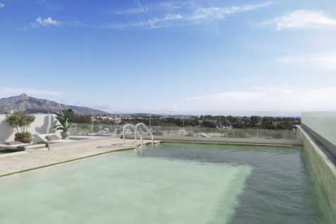 Rooftop pool