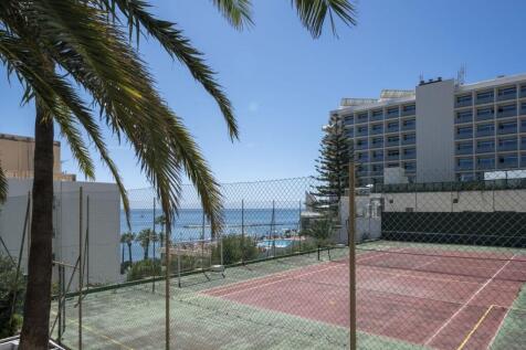 PADDLE COURT