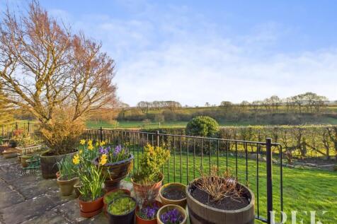 Rear patio and view