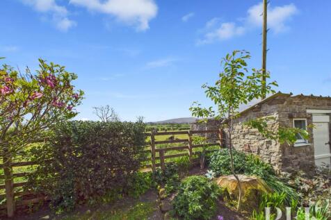 Rear garden view