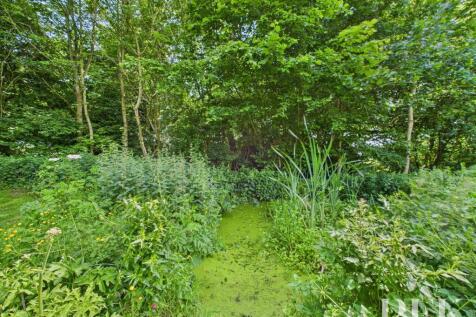 Pond