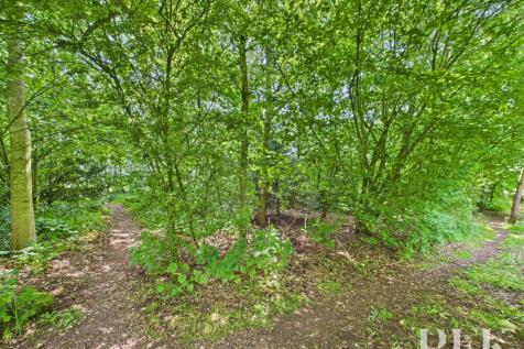 Woodland