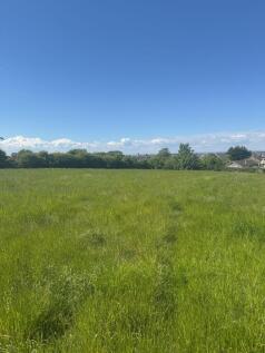Lot 4