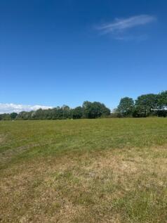 Lot 5