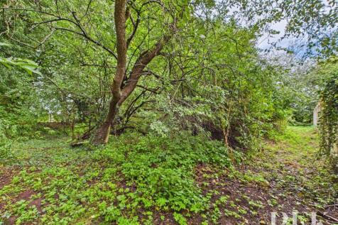 Woodland area