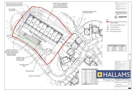 Site Plan.jpg