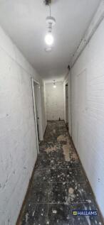 WhatsApp Image 20250926 at 120428_7b5f4b32.jpg