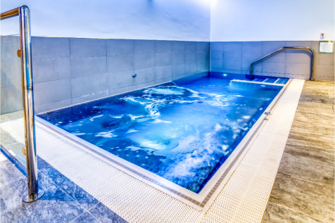 Wellness Spa Tub 
