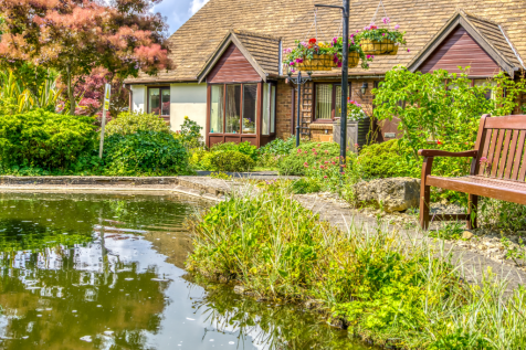 Bede Pond