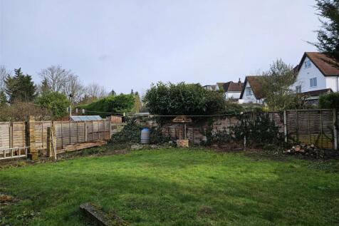 Garden Shot Two