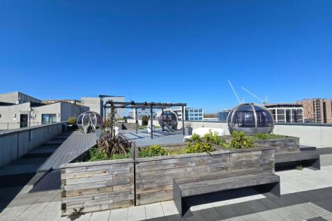 Communal Rooftop