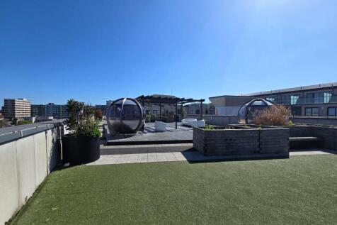 Communal Rooftop