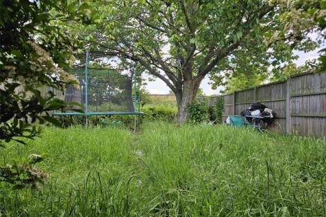 Garden (2)