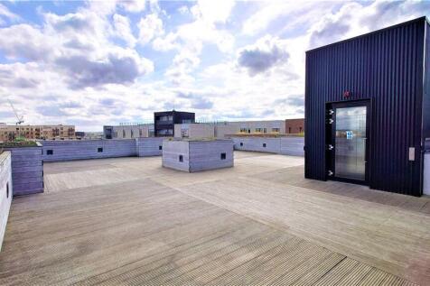 Roof Top Terrace (2)