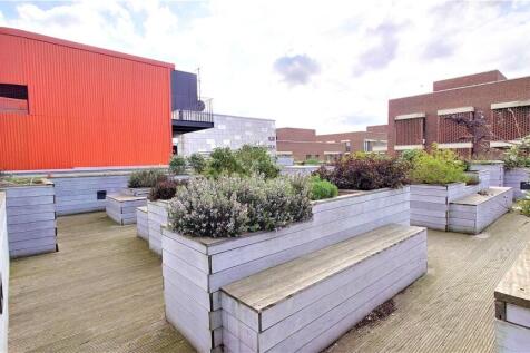 Roof Top Terrace (5)