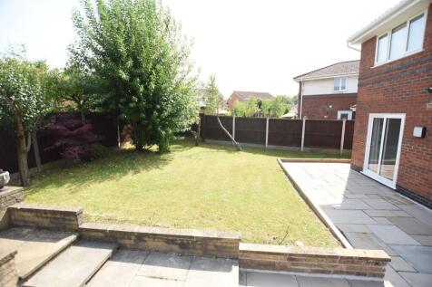 Back Garden