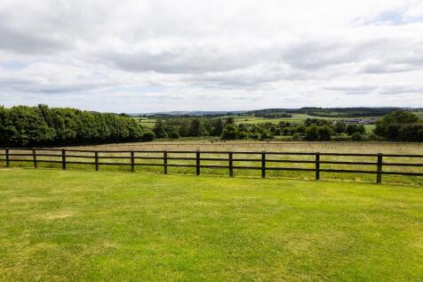 Property Image 56