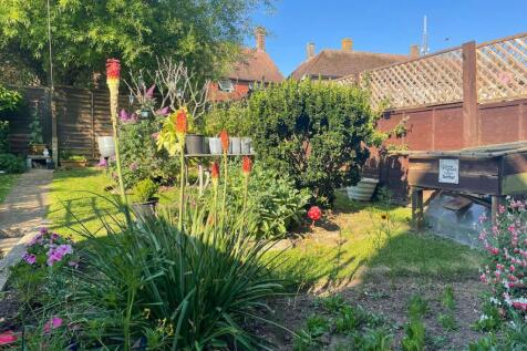 Garden in the summer