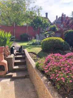 Garden in the summer