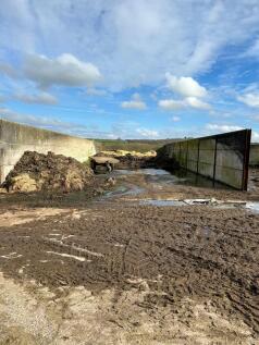 Silage pit 