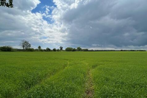 Land Two