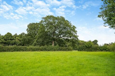 Field