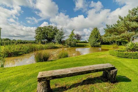 Pond