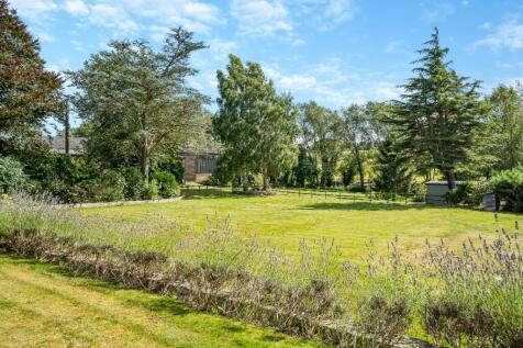 Property Image 34